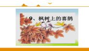小学人教部编版 (五四制)9 枫树上的喜鹊课堂教学ppt课件