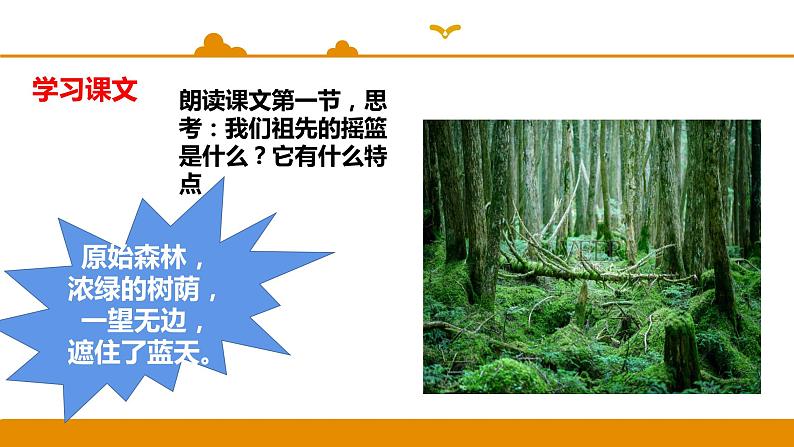 二年级下册 课件 第23课 祖先的摇篮 小学语文人教部编版(五四制)(2022年)06