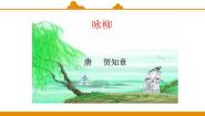 二年级下册课文 11 古诗二首咏柳课堂教学ppt课件
