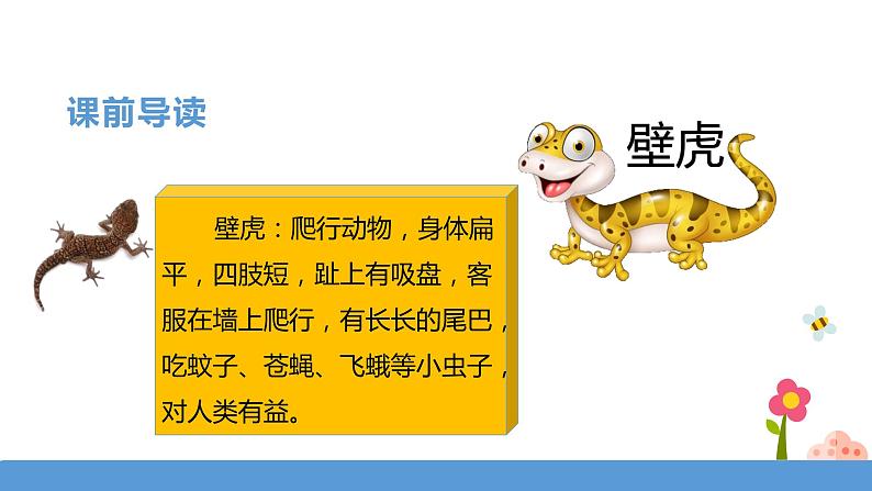 一年级下册 课件 21.《小壁虎借尾巴》 小学语文人教部编版(五四制)(2022年)第4页