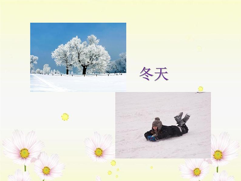 幼记童趣——文言文课件PPT第5页