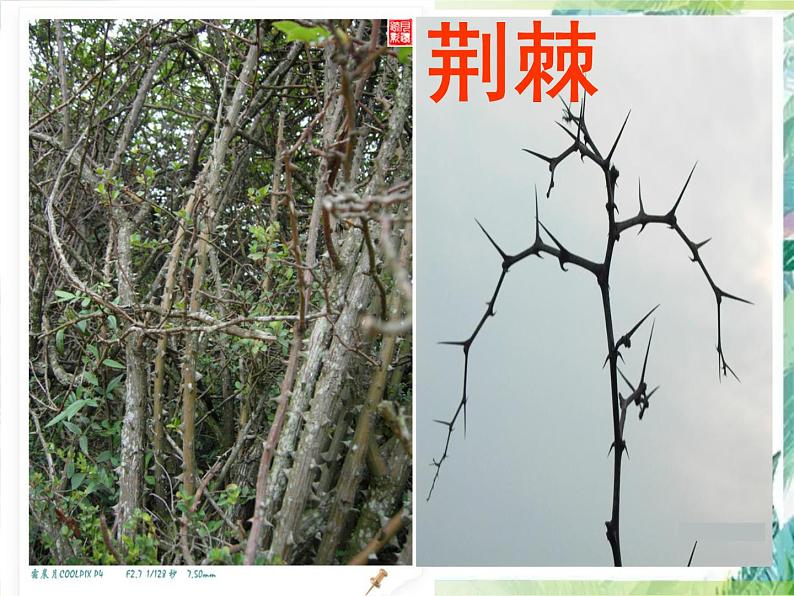 《雷锋叔叔你在哪里》优质课件08