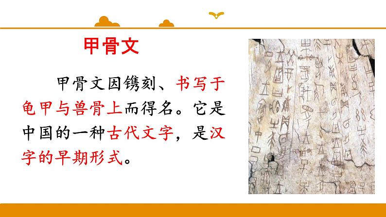 二年级下册 课件 识字 3 贝的故事 小学语文人教部编版(五四制)(2022年)第7页
