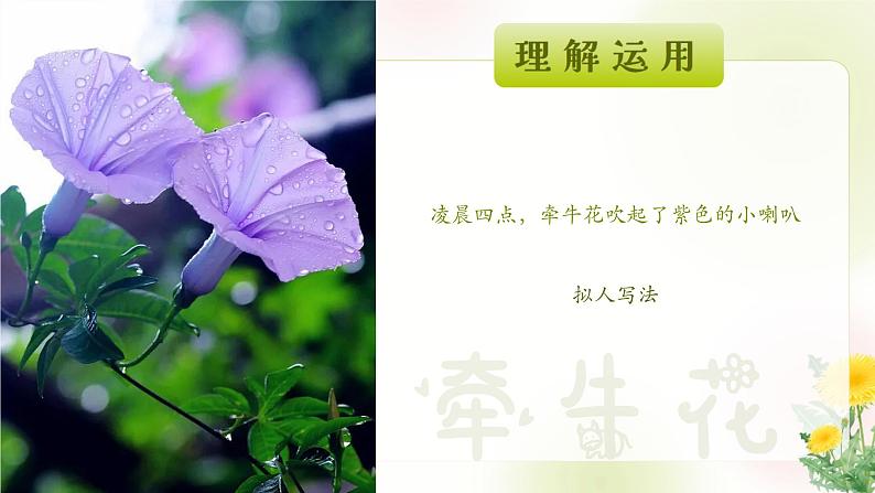 《花钟》第二课时小学语文三年级下(部编版)课件PPT第8页