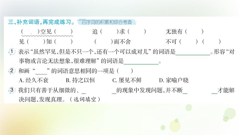人教版语文六年级下册(部编版)第五单元作业PPT课件03