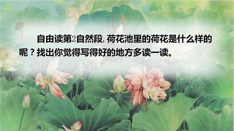 三年级语文下册课件-3 荷花11-部编版(共13张PPT)第4页