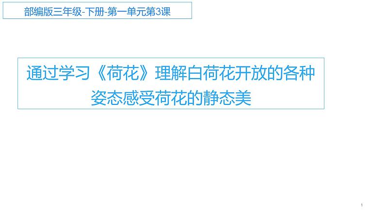 三年级语文下册课件-3 荷花 (共10张PPT)-部编版第1页