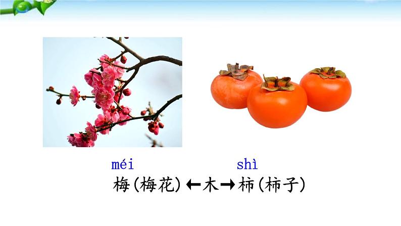 人教部编二年级语文下册 第八单元 语文园地八1课件PPT第4页