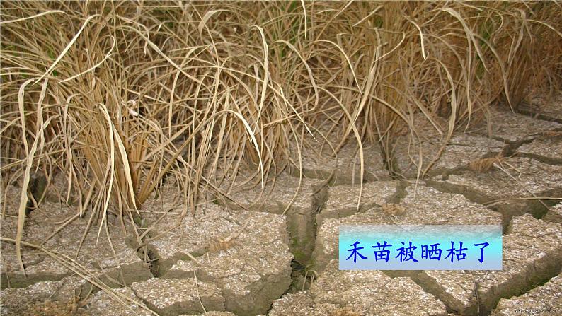 人教部编二年级语文下册 第八单元 25 羿射九日2课件PPT第6页