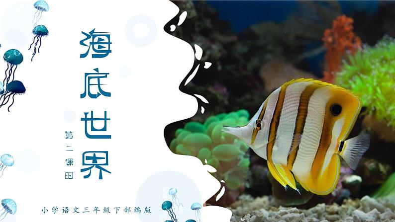 《海底世界》第二课时小学语文三年级下(部编版)课件PPT第1页