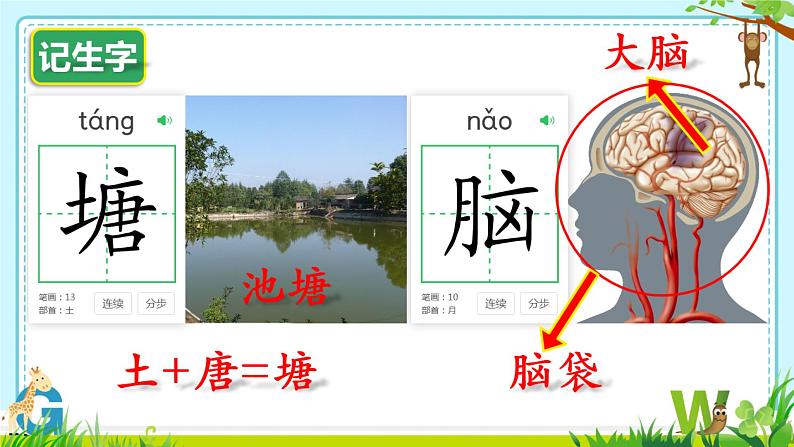 部编版《小蝌蚪找妈妈》PPT第8页