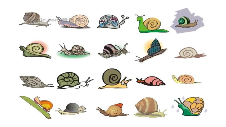 13《小蜗牛》课件+绘本素材01