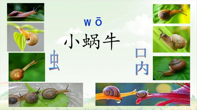 13《小蜗牛》课件+绘本素材02