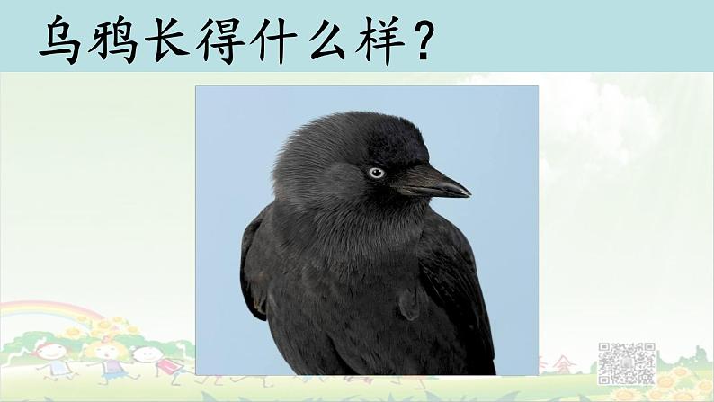 《乌鸦喝水》第一课时第1页