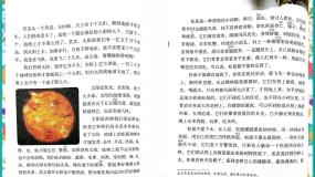 人教部编版五年级上册鲸教学ppt课件