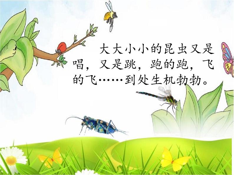 二下语文《22小毛虫》课件PPT02