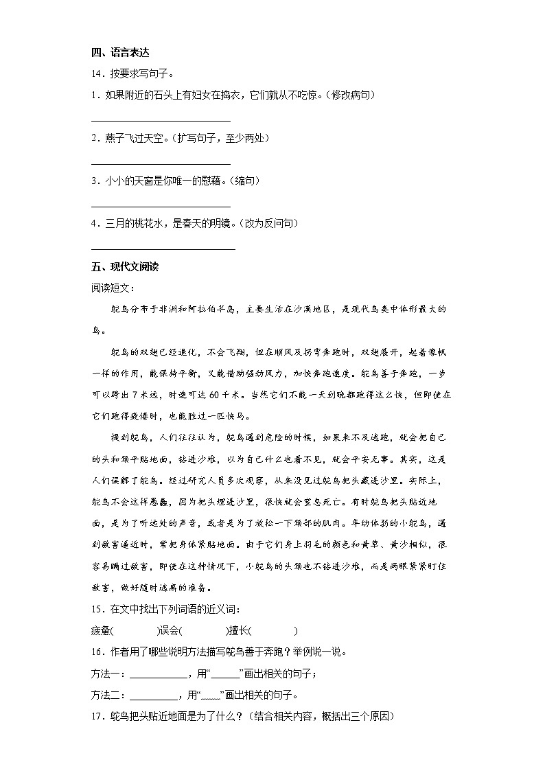 部编版小学语文小升初练习试题(七)(全国通用)第3页