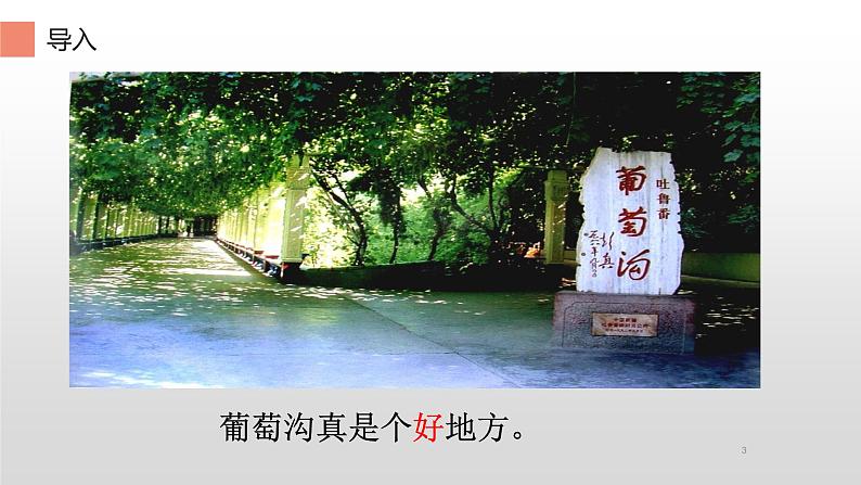 11.葡萄沟 (课件)(15张)03