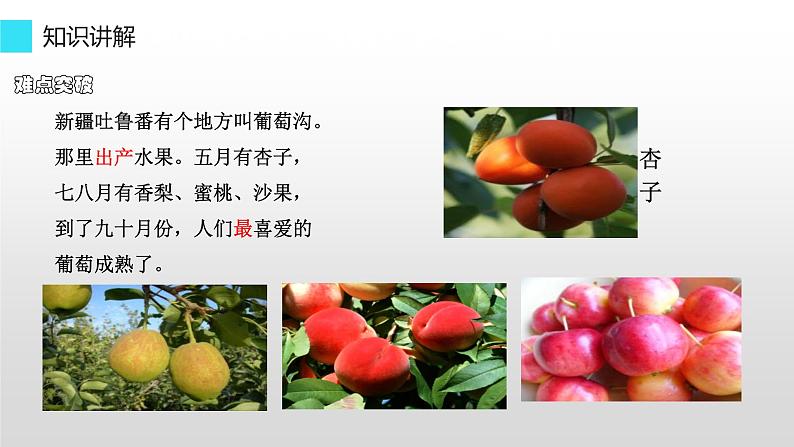 11.葡萄沟 (课件)(15张)04