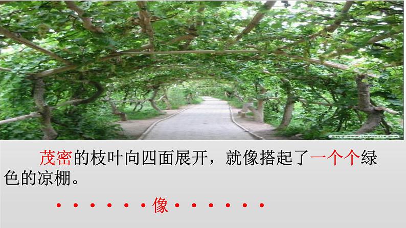 11.葡萄沟 (课件)(15张)06