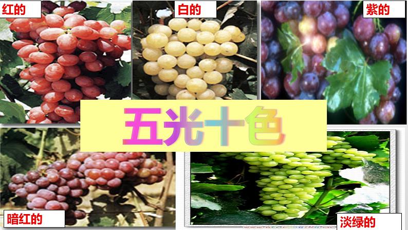 11.葡萄沟 (课件)(15张)07