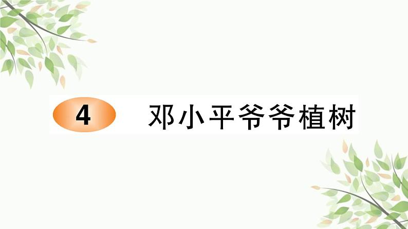 4 邓小平爷爷植树 习题课件(11张) (1)01