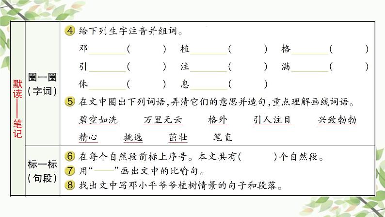 4 邓小平爷爷植树 习题课件(11张) (1)03