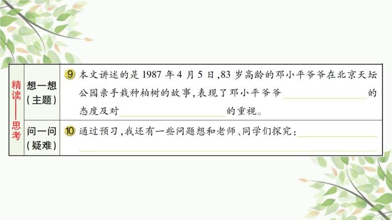 4 邓小平爷爷植树   习题课件（11张） (1)04