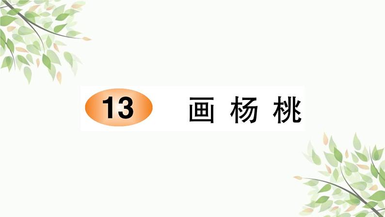 13 画杨桃 习题课件(11张)01