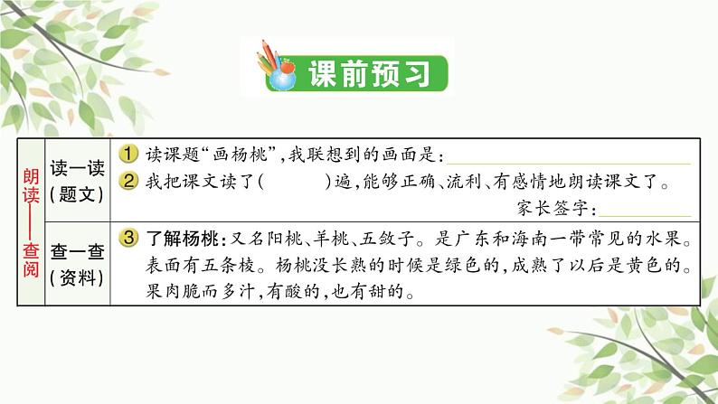 13 画杨桃 习题课件(11张)02
