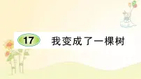 小学语文人教部编版三年级下册17 我变成了一棵树背景图ppt课件