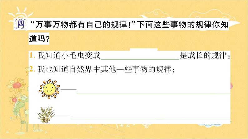 22 小毛虫 课件(13张)06