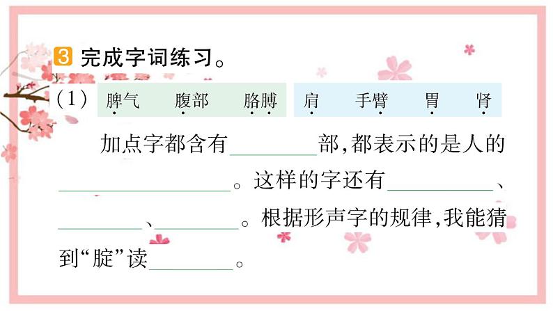 11 我是一只小虫子 习题课件(14张)第5页
