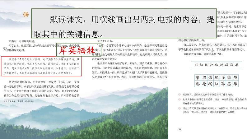 10 青山处处埋忠骨 课件(共20张PPT)第7页