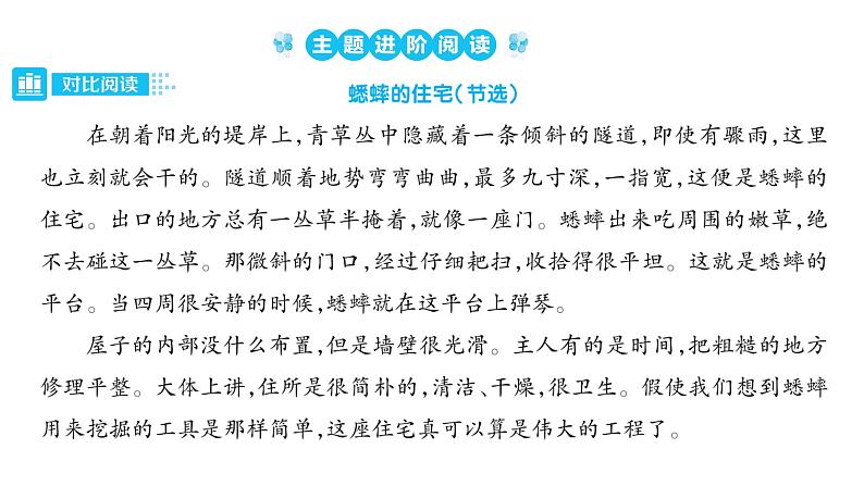 部编版语文四年级上册单元主题阅读第三单元 连续观察 课件(52张PPT)06