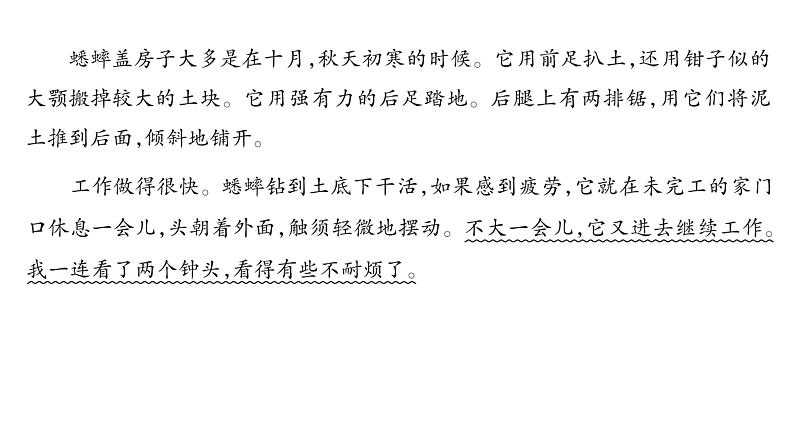 部编版语文四年级上册单元主题阅读第三单元 连续观察 课件(52张PPT)07