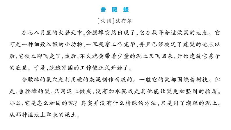 部编版语文四年级上册单元主题阅读第三单元 连续观察 课件(52张PPT)08