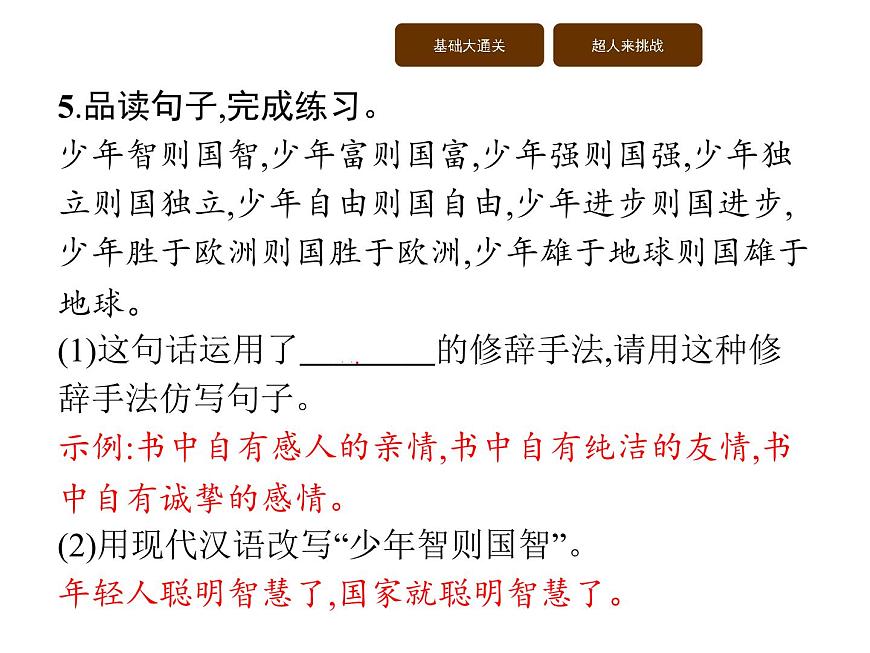 13 少年中國(guó)說(shuō)(節(jié)選)第5頁(yè)