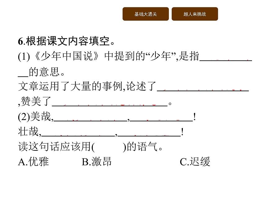 13 少年中國(guó)說(shuō)(節(jié)選)第6頁(yè)
