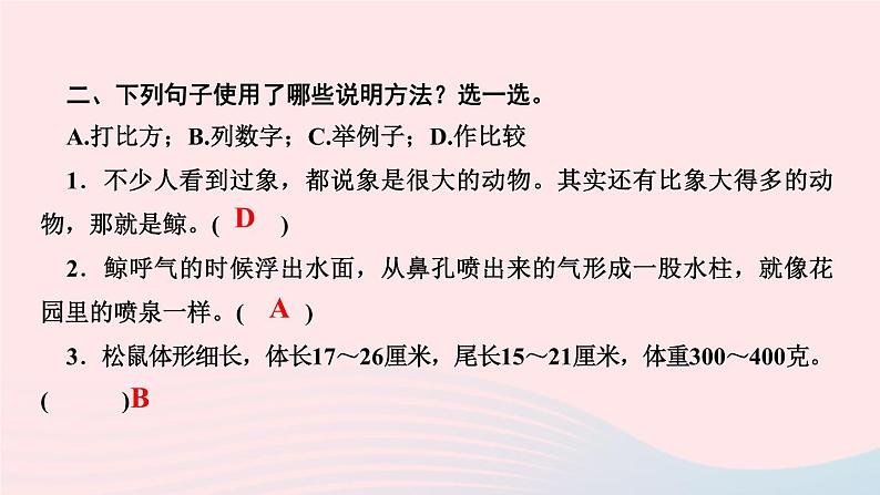五年级语文上册第五单元17松鼠作业课件新人教版第3页
