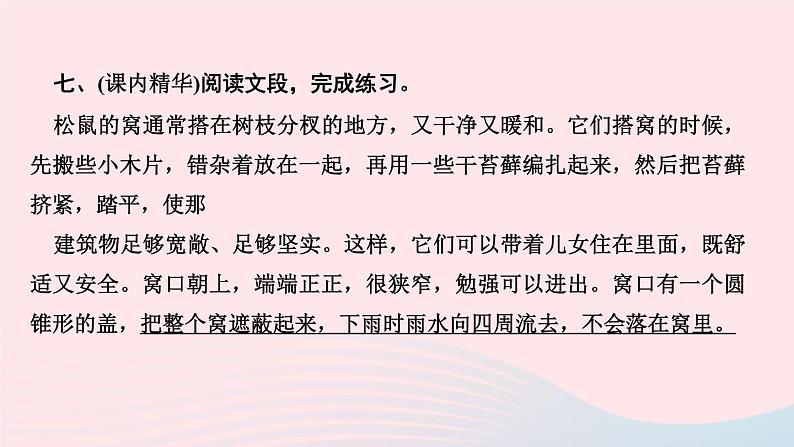 五年级语文上册第五单元17松鼠作业课件新人教版第4页