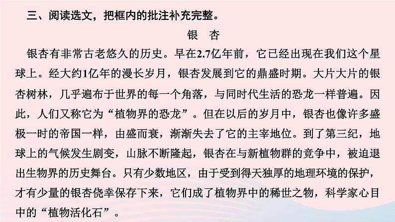 五年级语文上册第五单元习作例文及习作训练课件新人教版第4页