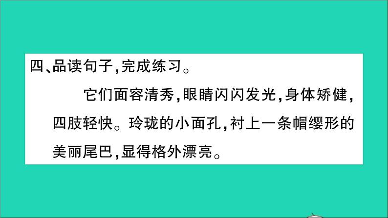 广东地区五年级语文上册第五单元17松鼠作业课件新人教版第5页