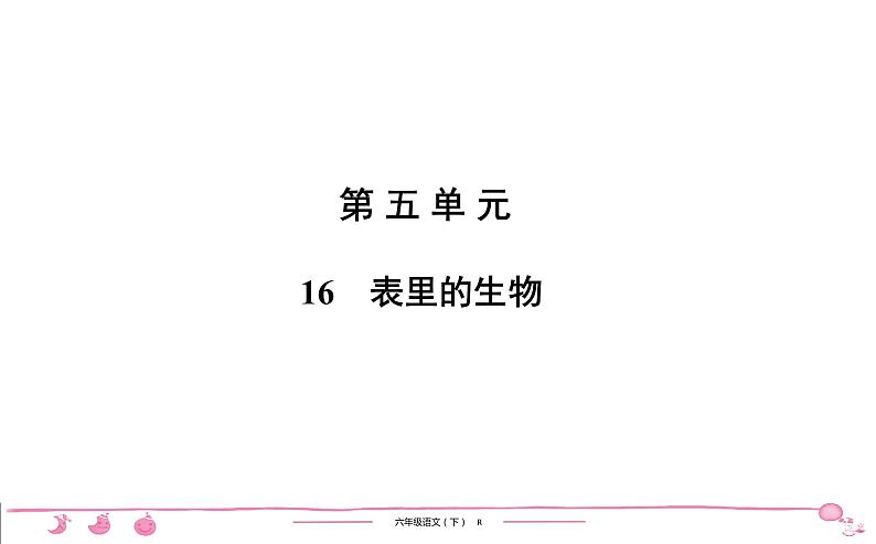 2020-2021学年六年级下册人教版语文习题课件 第5单元 16 表里的生物第1页