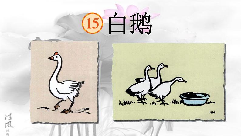 白鹅课件 部编版语文四年级下册第1页