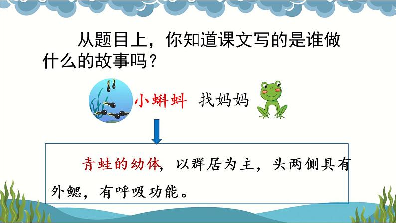 1 小蝌蚪找妈妈【优质版】第3页
