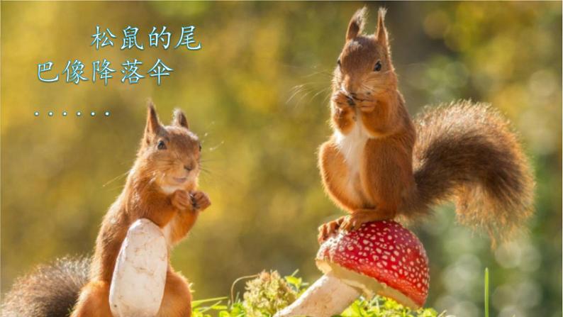部编版二年级语文上册 第一单元 口语交际:有趣的动物 课件04