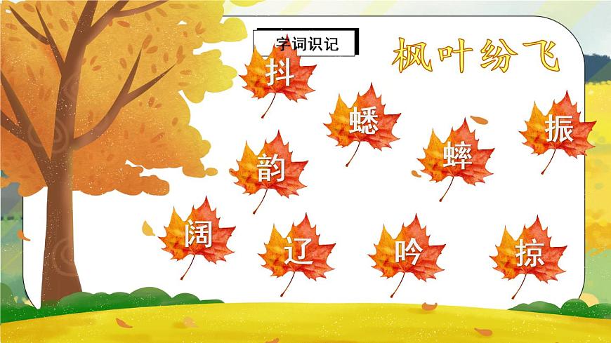 7 聽聽，秋的聲音（課件）第5頁