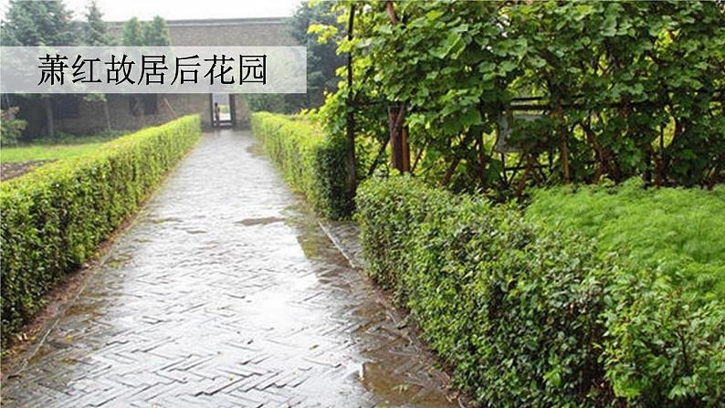 祖父的园子 课件 部编版语文五年级下册03