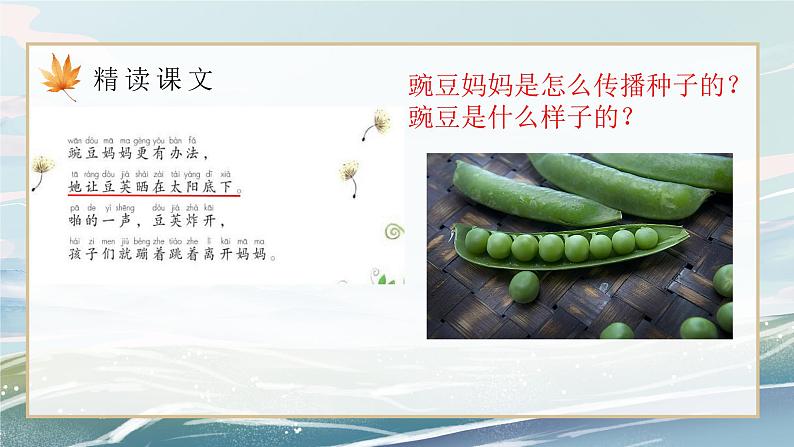 部编版小学二年级上册3《植物妈妈有办法》第二课时课件第8页